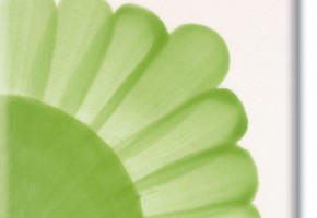 431 delicate green ml.30
