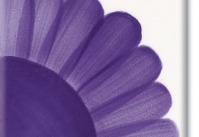 443 purple ml.30