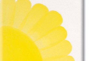 bright yellow ml.30