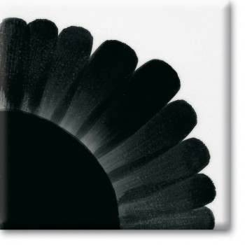 Sottocristalline ml.30